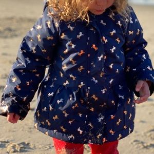 Blue coat with gold unicorns